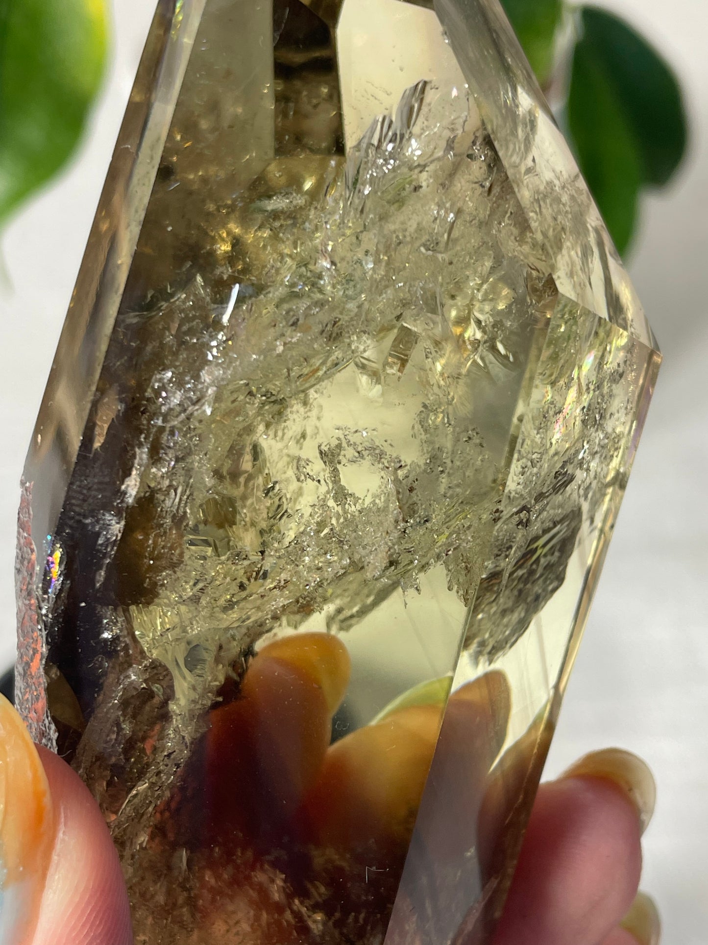 Citrine in wood stand (B)