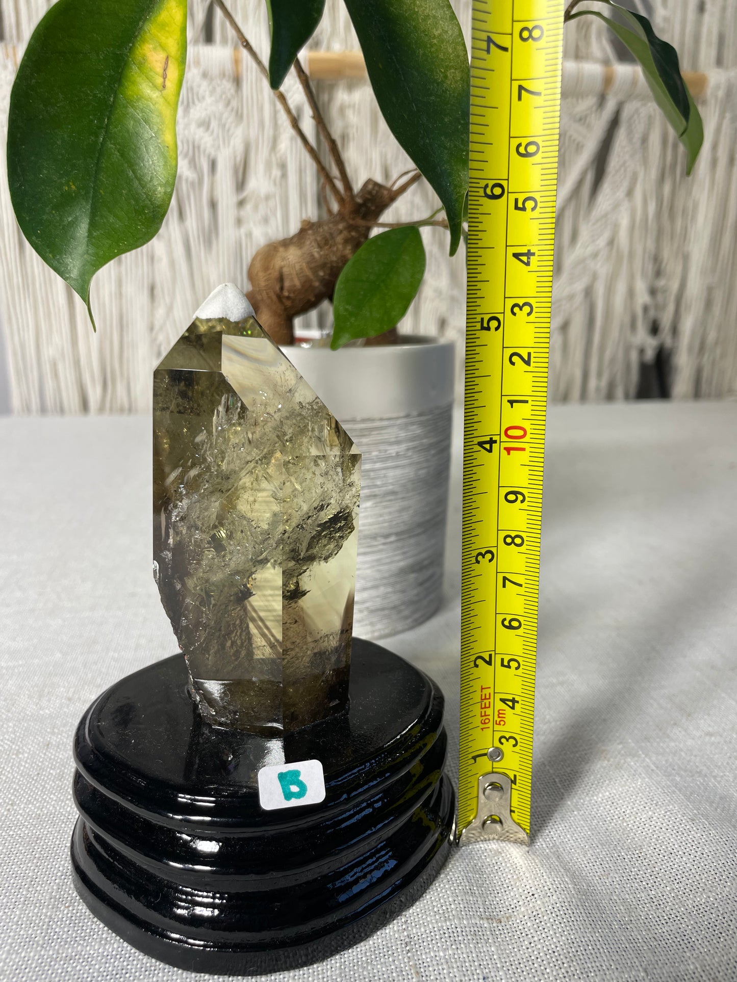 Citrine in wood stand (B)