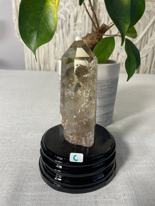 Citrine in wood stand (C)