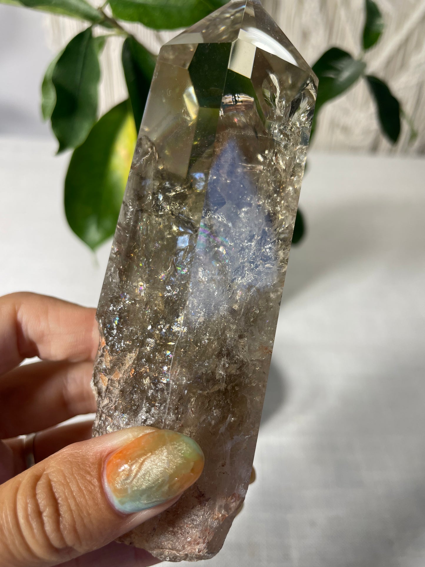 Citrine in wood stand (C)