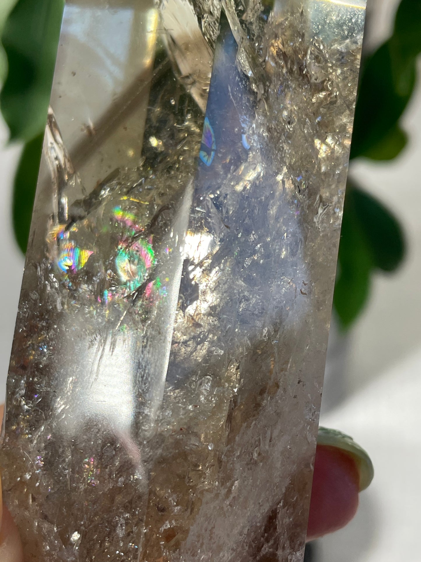Citrine in wood stand (C)