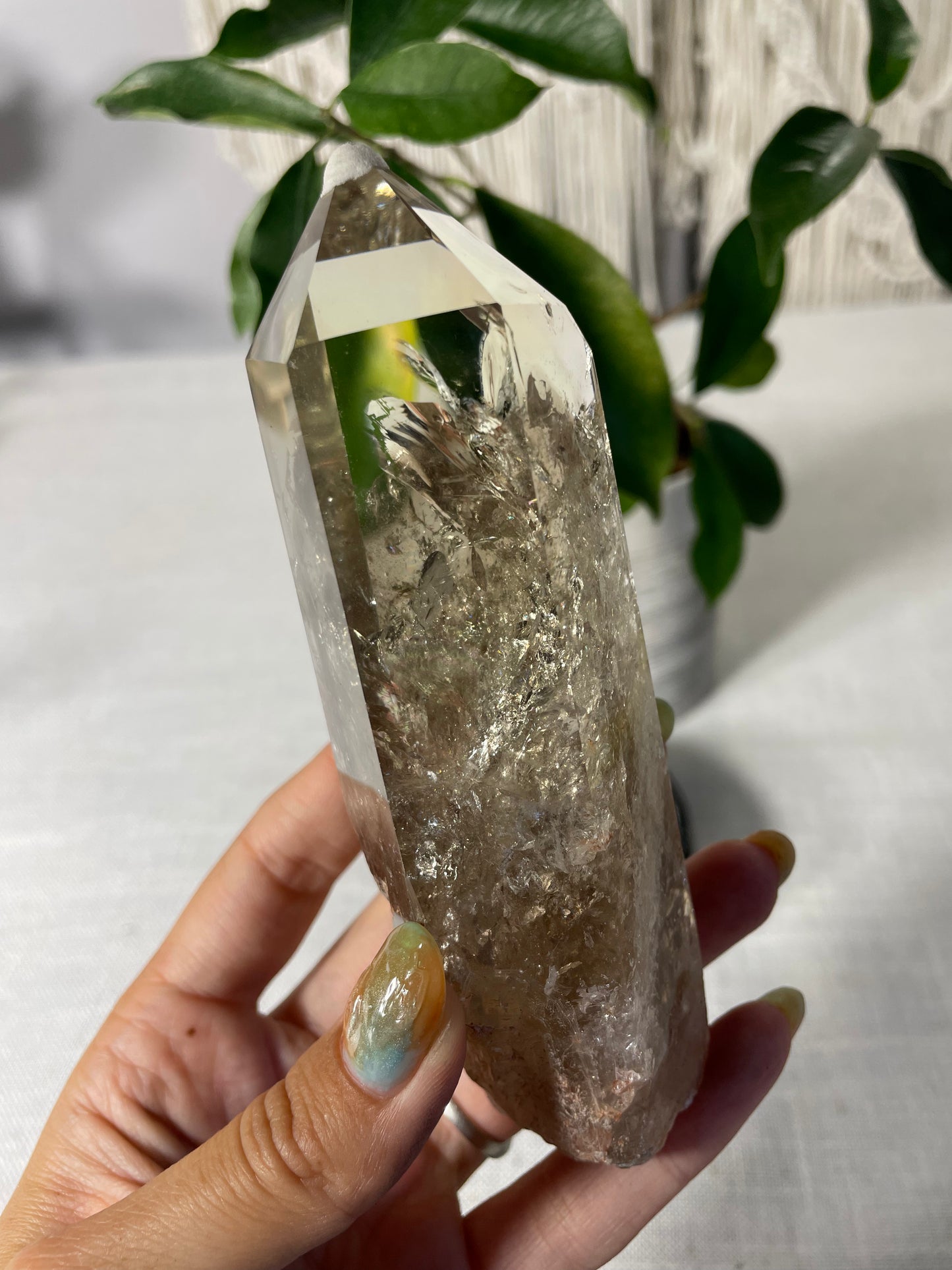Citrine in wood stand (C)