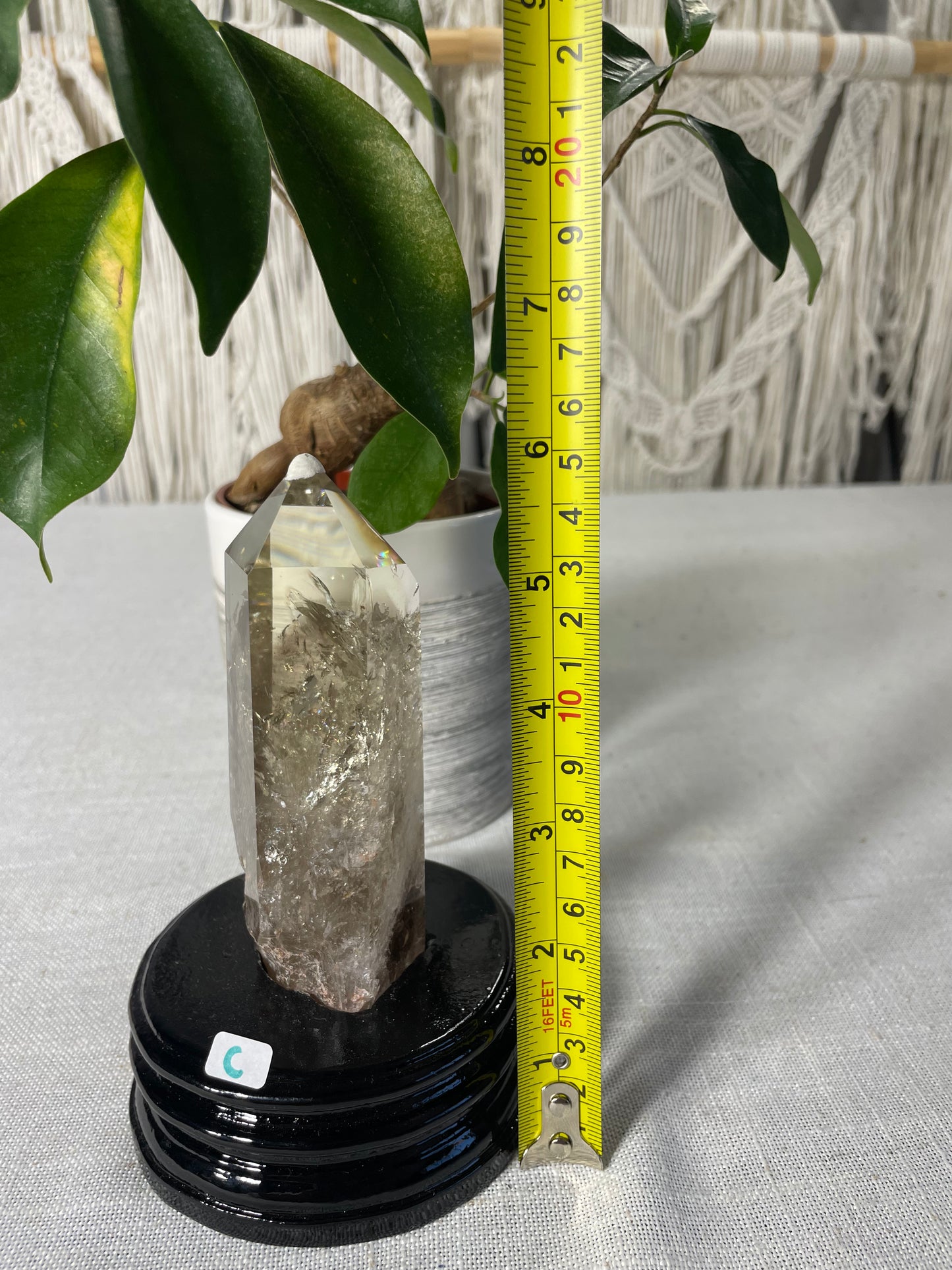 Citrine in wood stand (C)