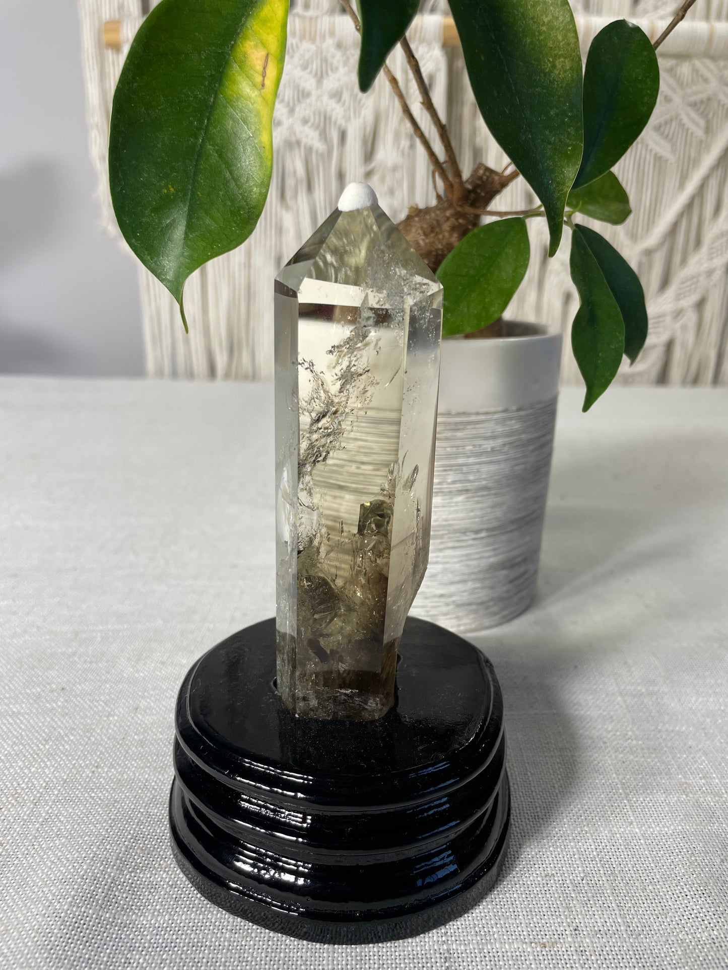 Citrine in wood stand (D)
