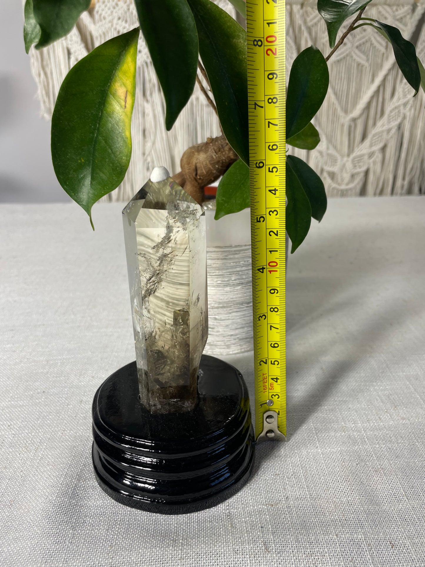 Citrine in wood stand (D)