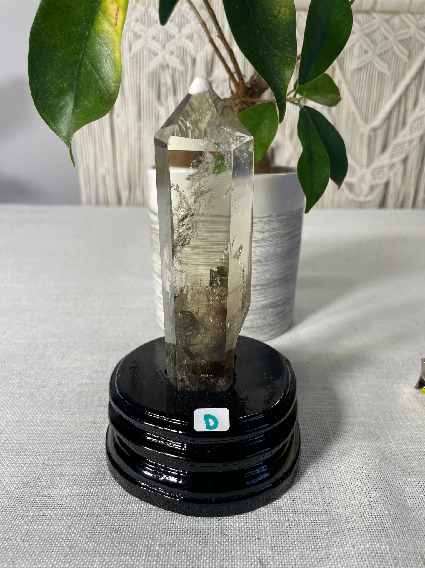 Citrine in wood stand (D)
