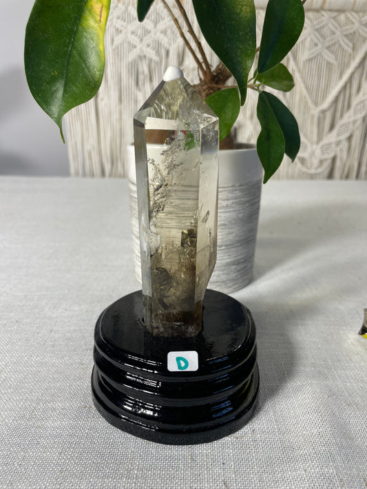 Citrine in wood stand (D)