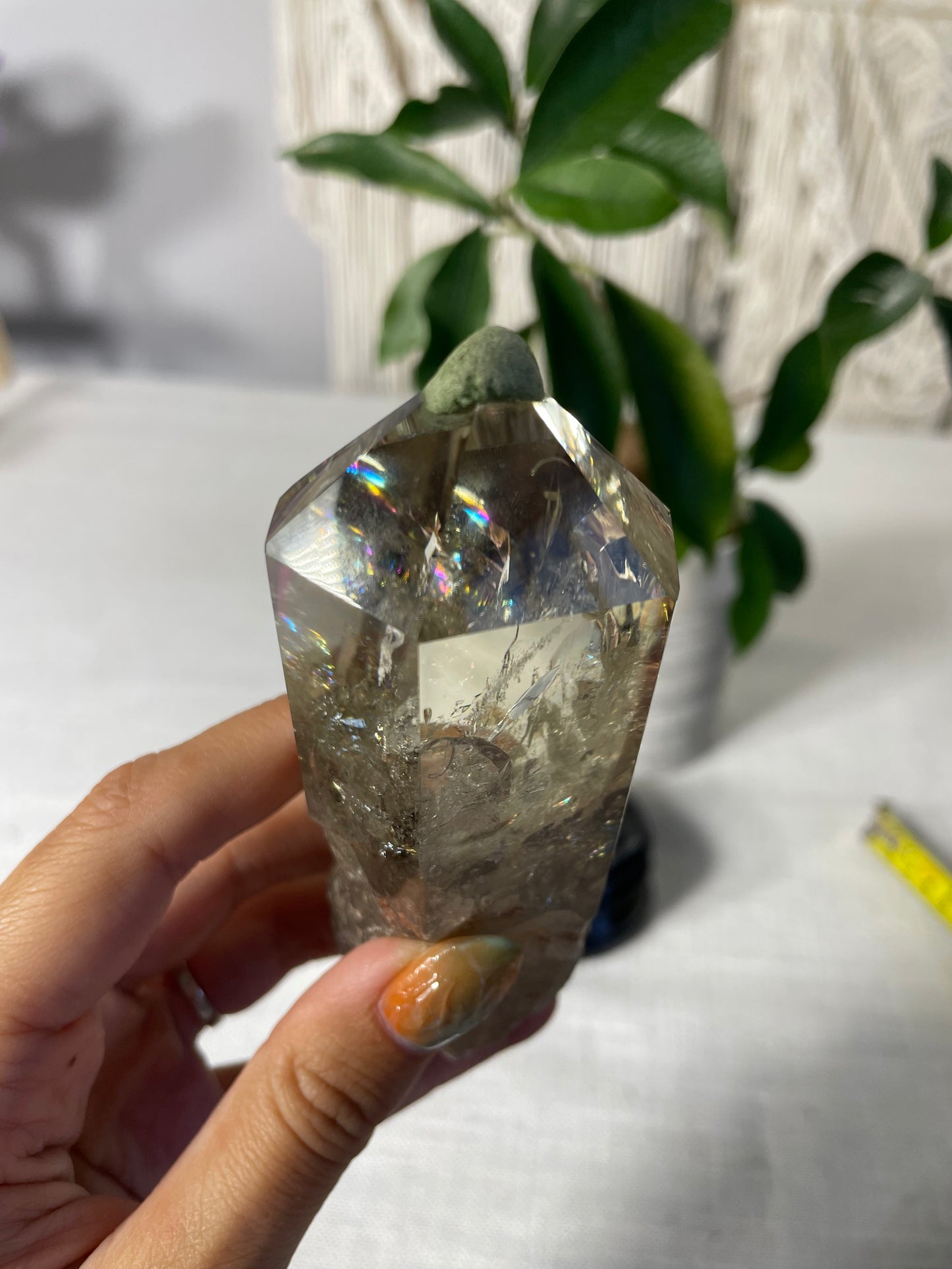 Citrine in wood stand (E)