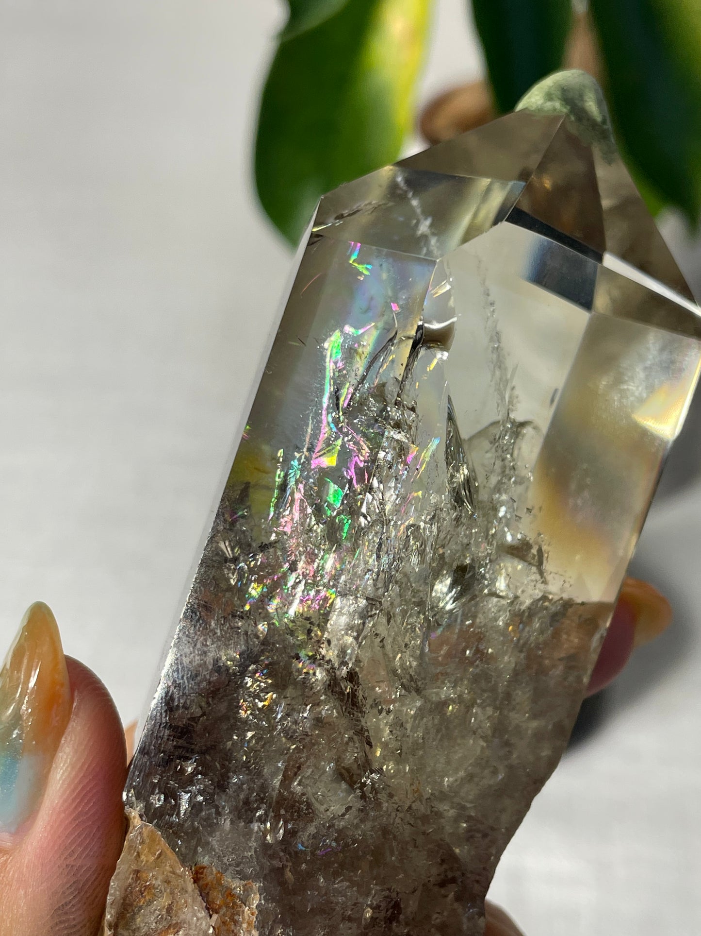 Citrine in wood stand (E)
