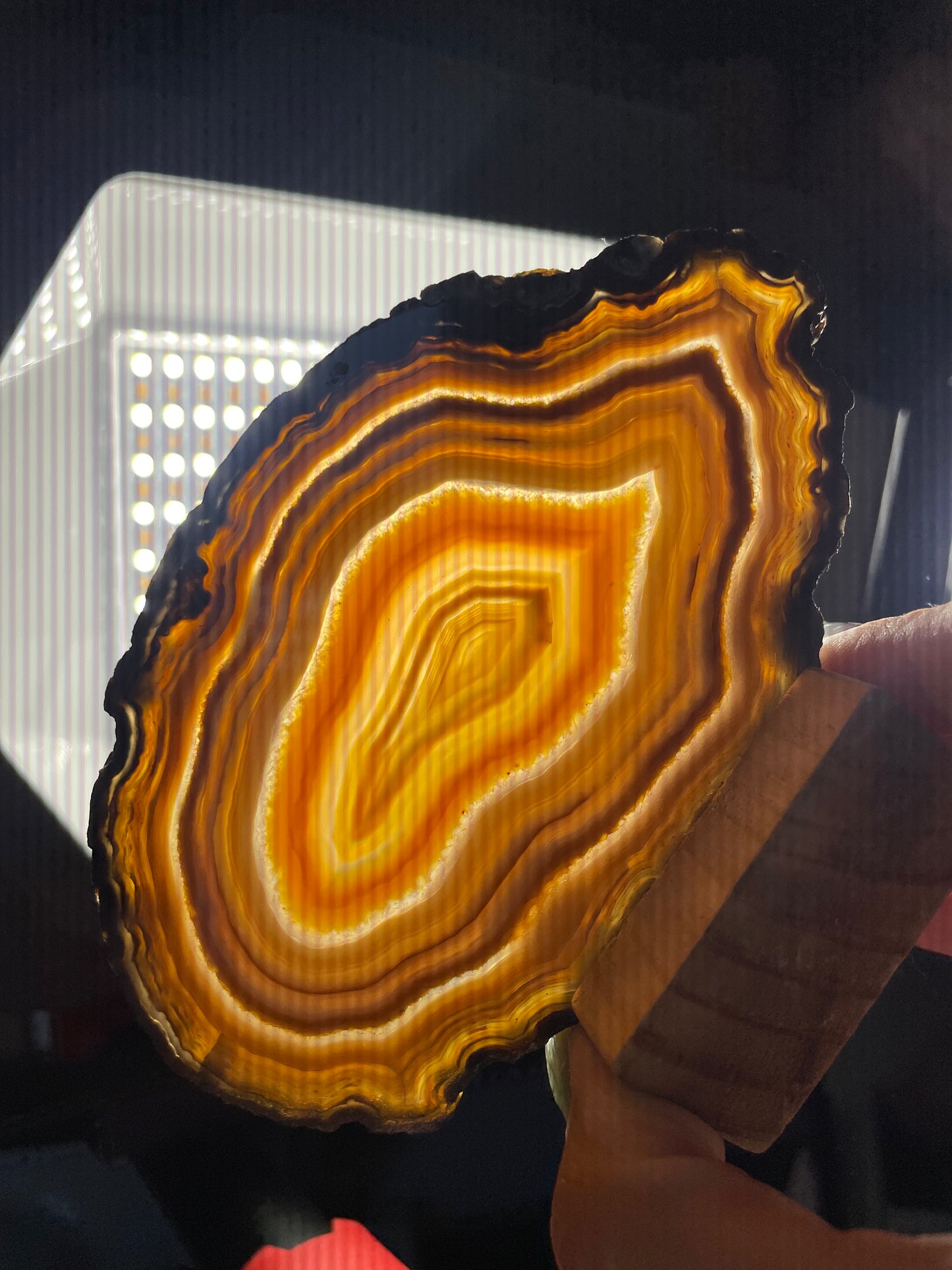 Brazilian Agate (KK)