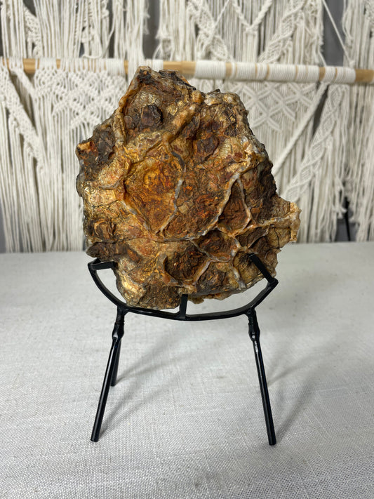 Indonesian Agate (B)