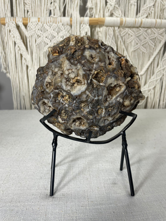 Indonesian Agate (C)