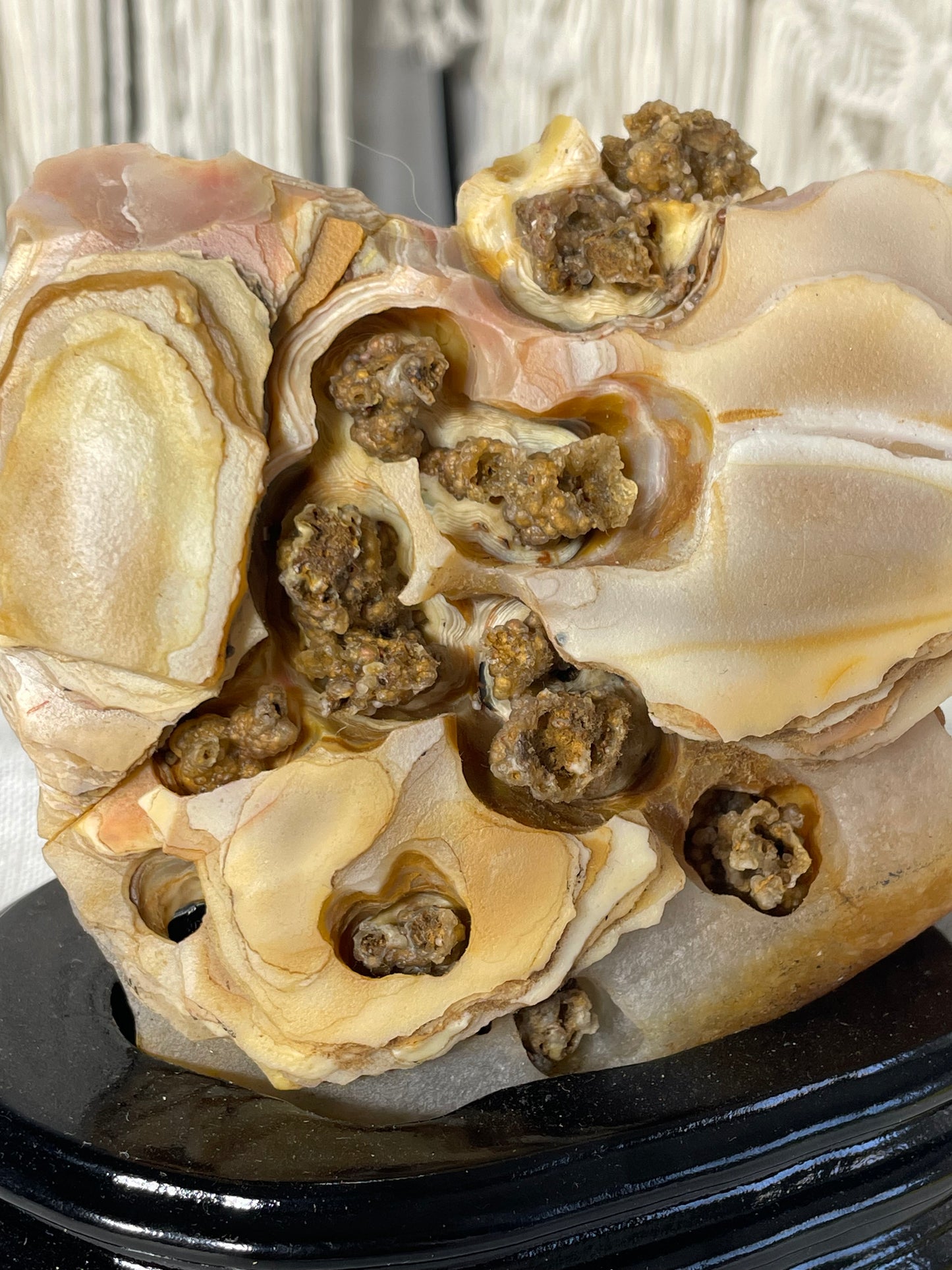 Indonesian Agate (E)