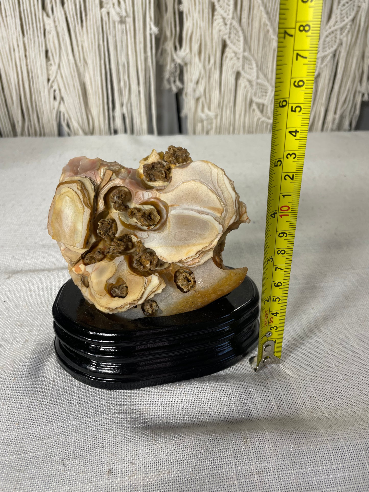 Indonesian Agate (E)