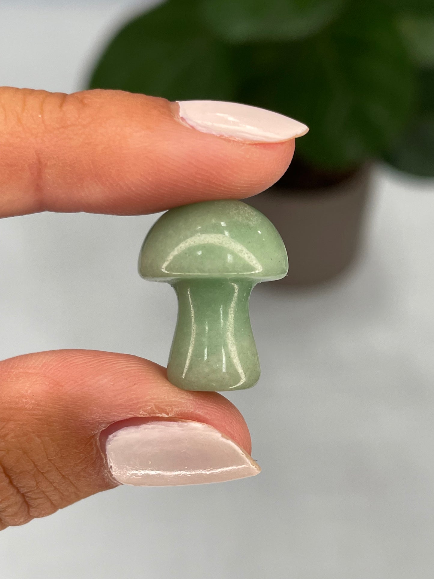 Mini Mushroom Carving