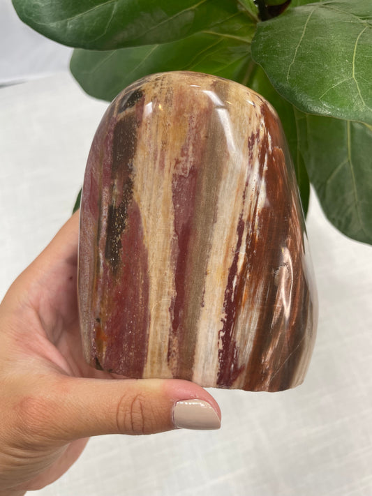 Petrified Wood Freeform