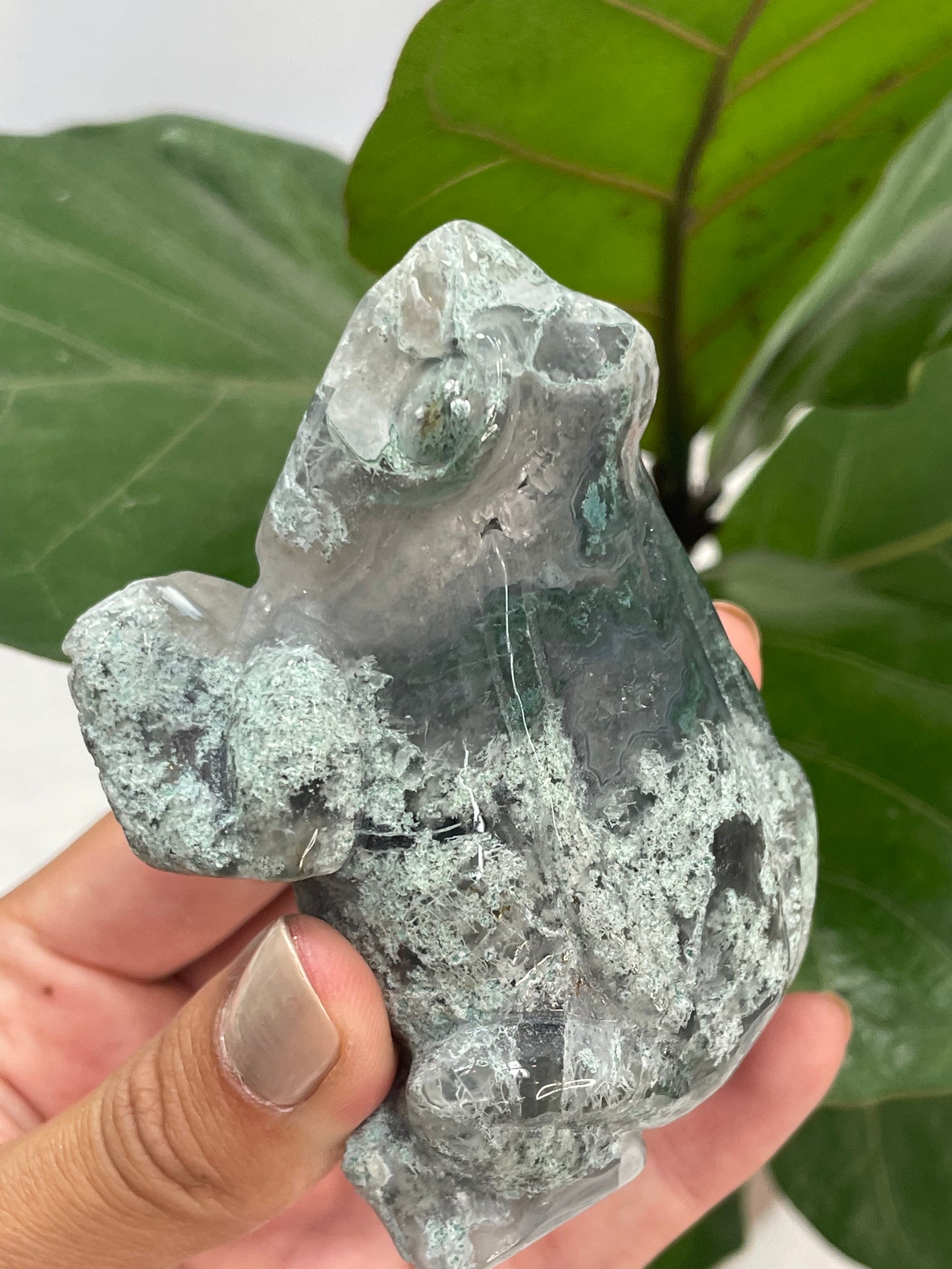 Moss Agate Frog