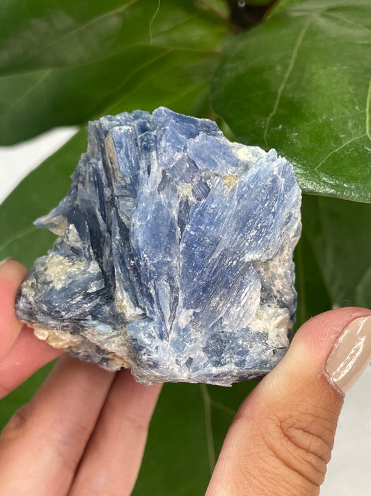 Kyanite Specimen