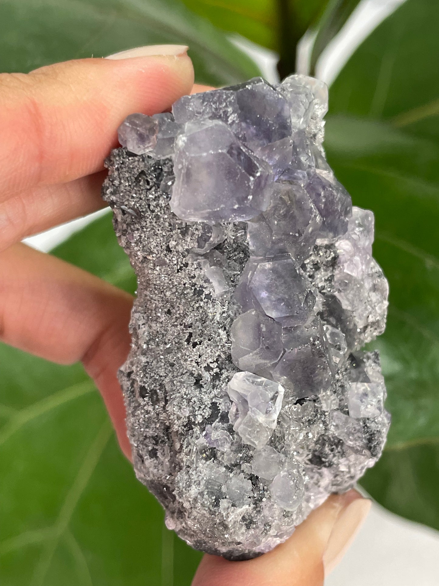 Tanzanite Fluorite