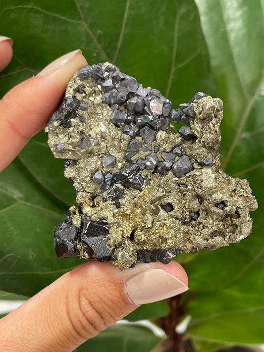 Pyrite w/Hematite