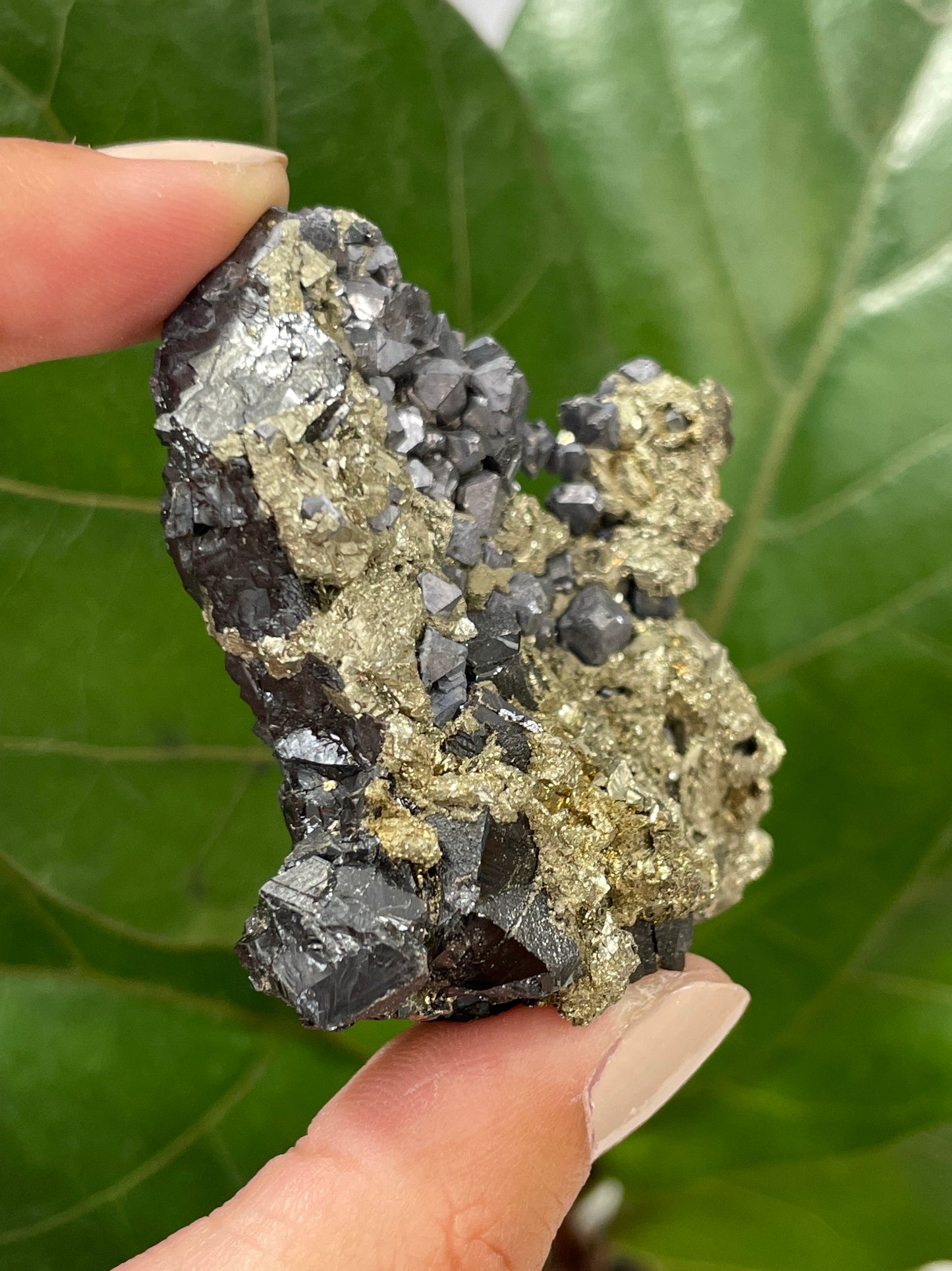 Pyrite w/Hematite