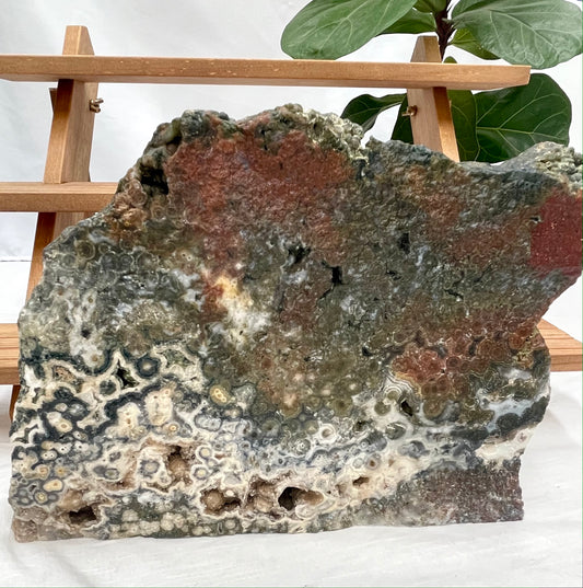 LARGE Ocean Jasper Specimen