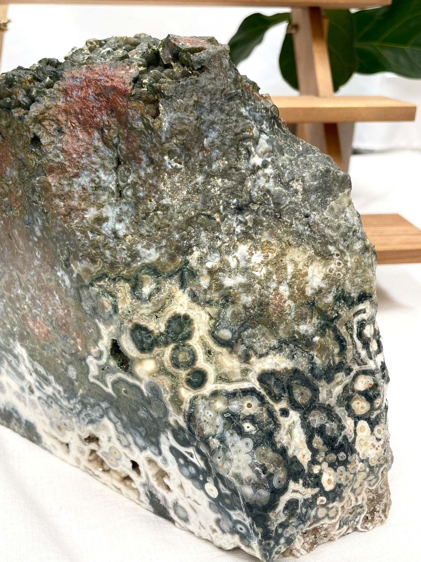 LARGE Ocean Jasper Specimen