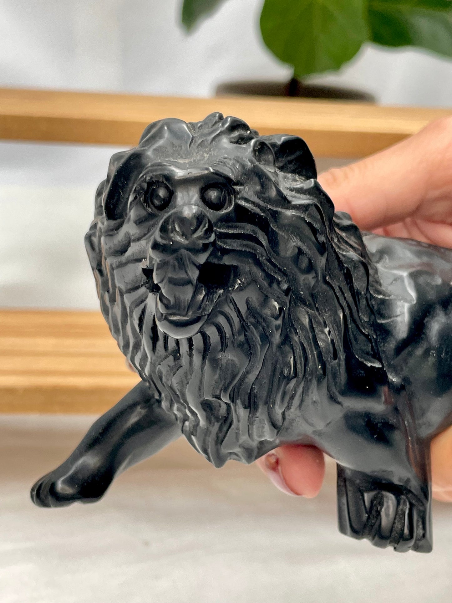 Obsidian Lion