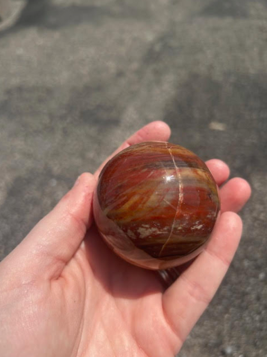 Petrified wood sphere