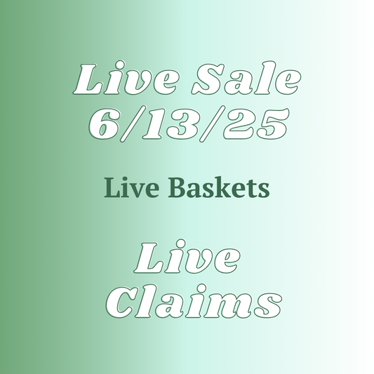 Scenic City Basket