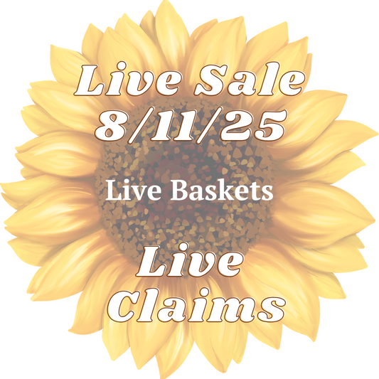 Brandi Basket