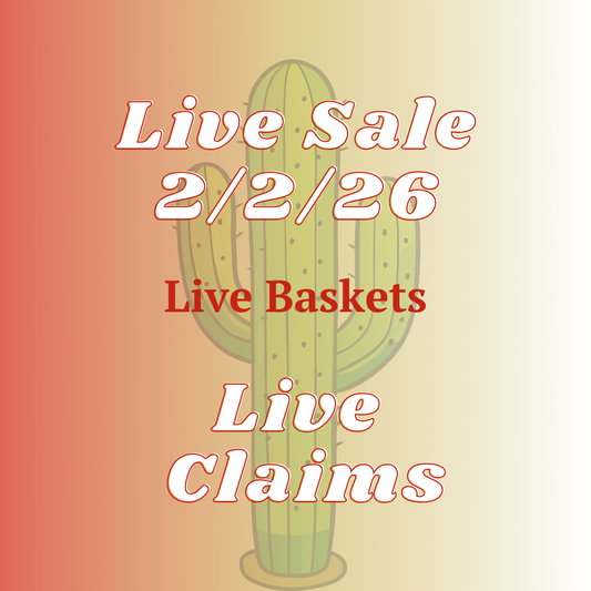 aliciam.143 Basket