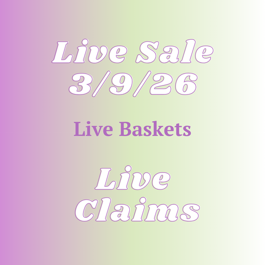 Tracy Basket